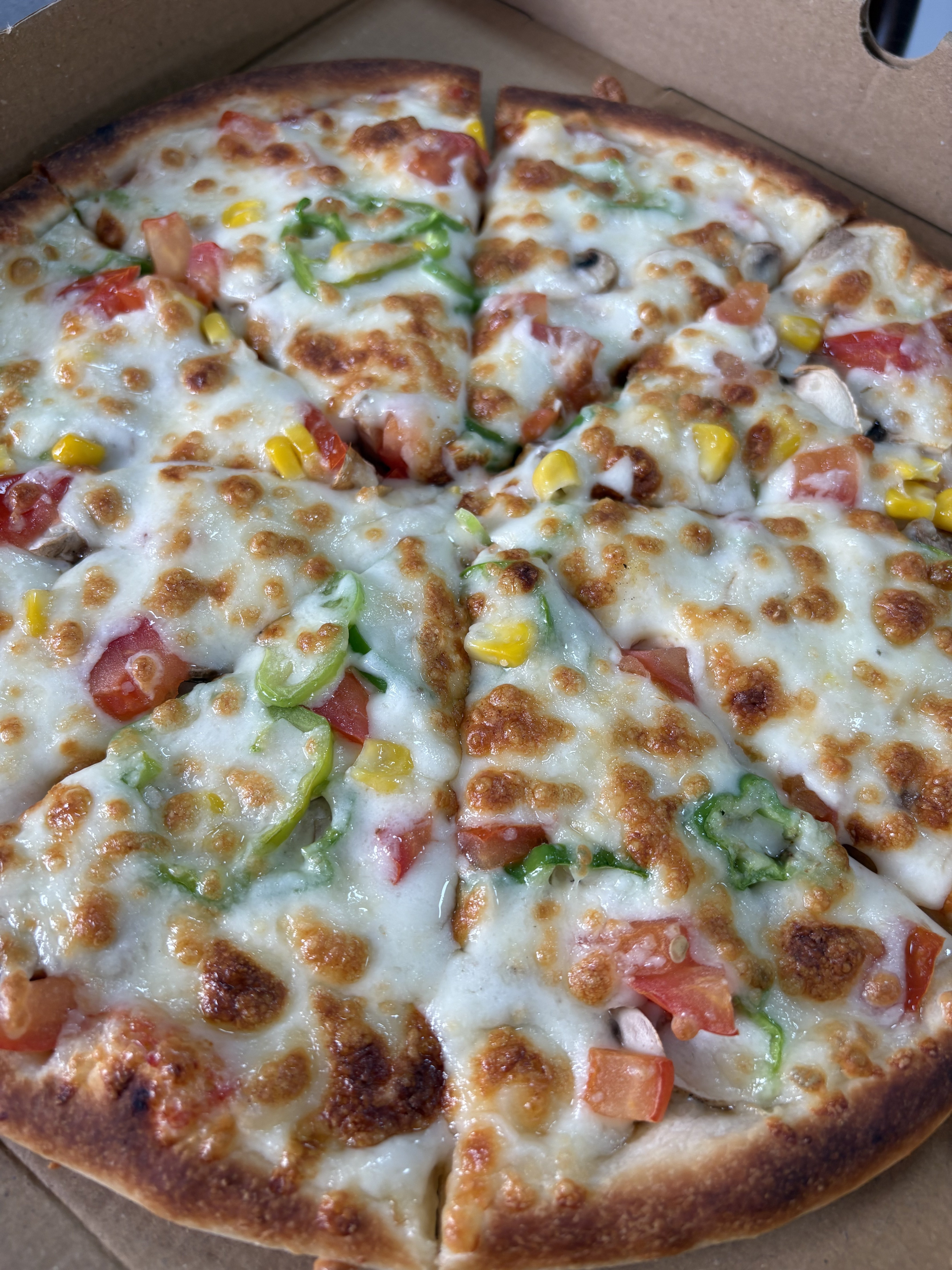 Vejeteryan Pizza
